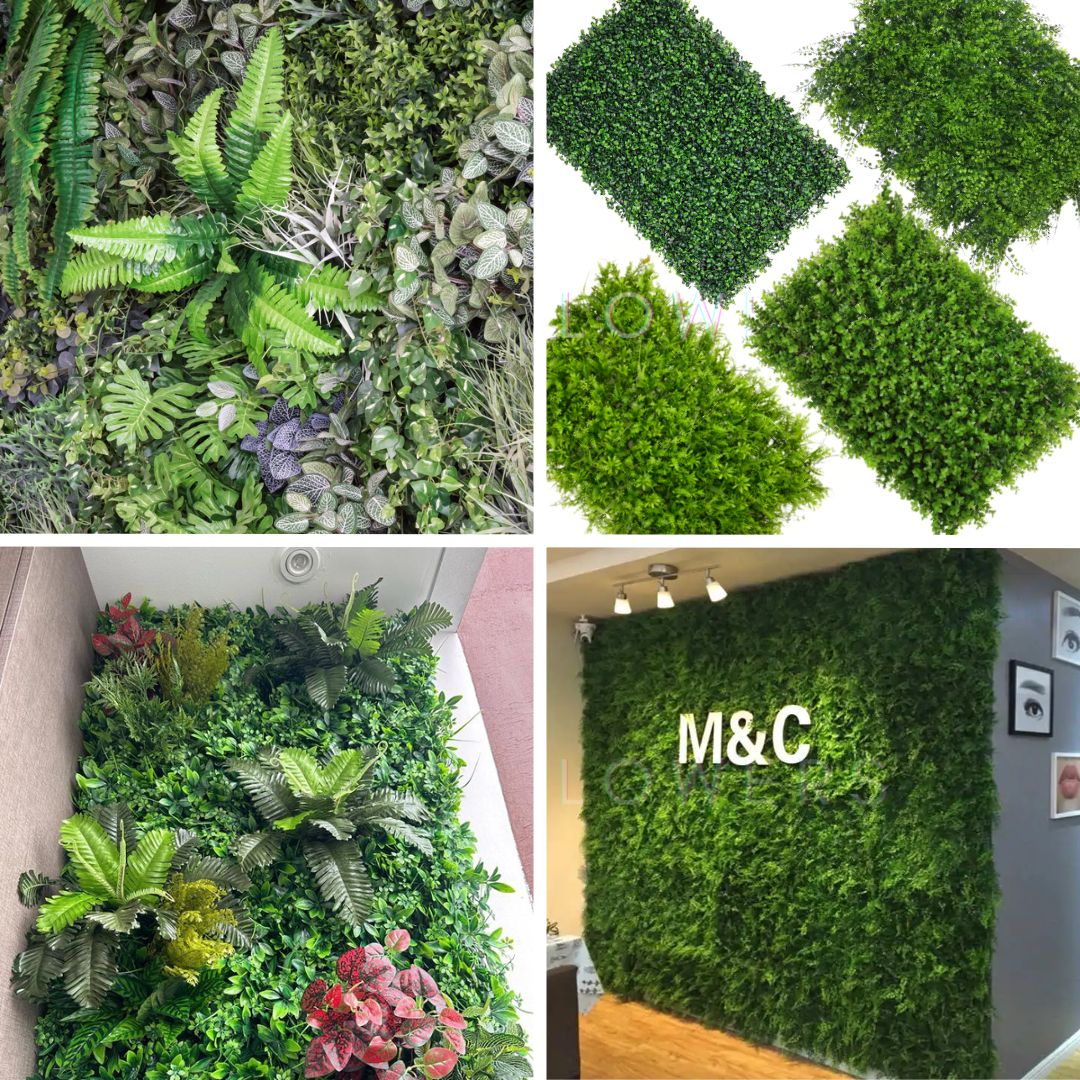 Carpet Grass Cover 4