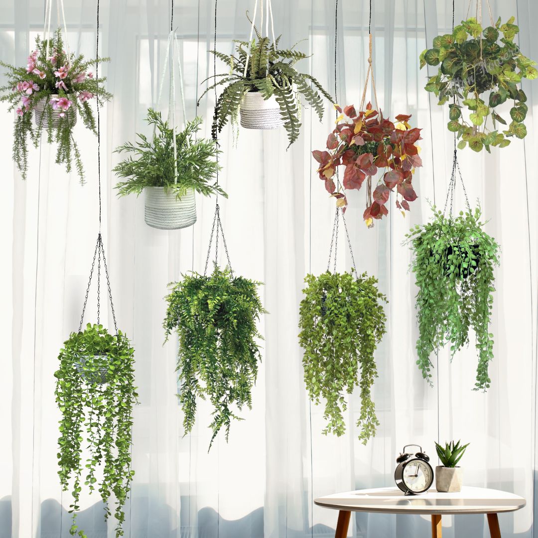 Hanging Plants Cover 29 Nov2