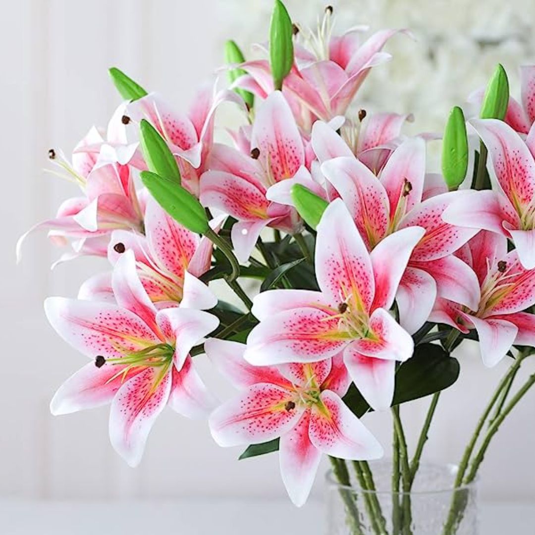 Lilies