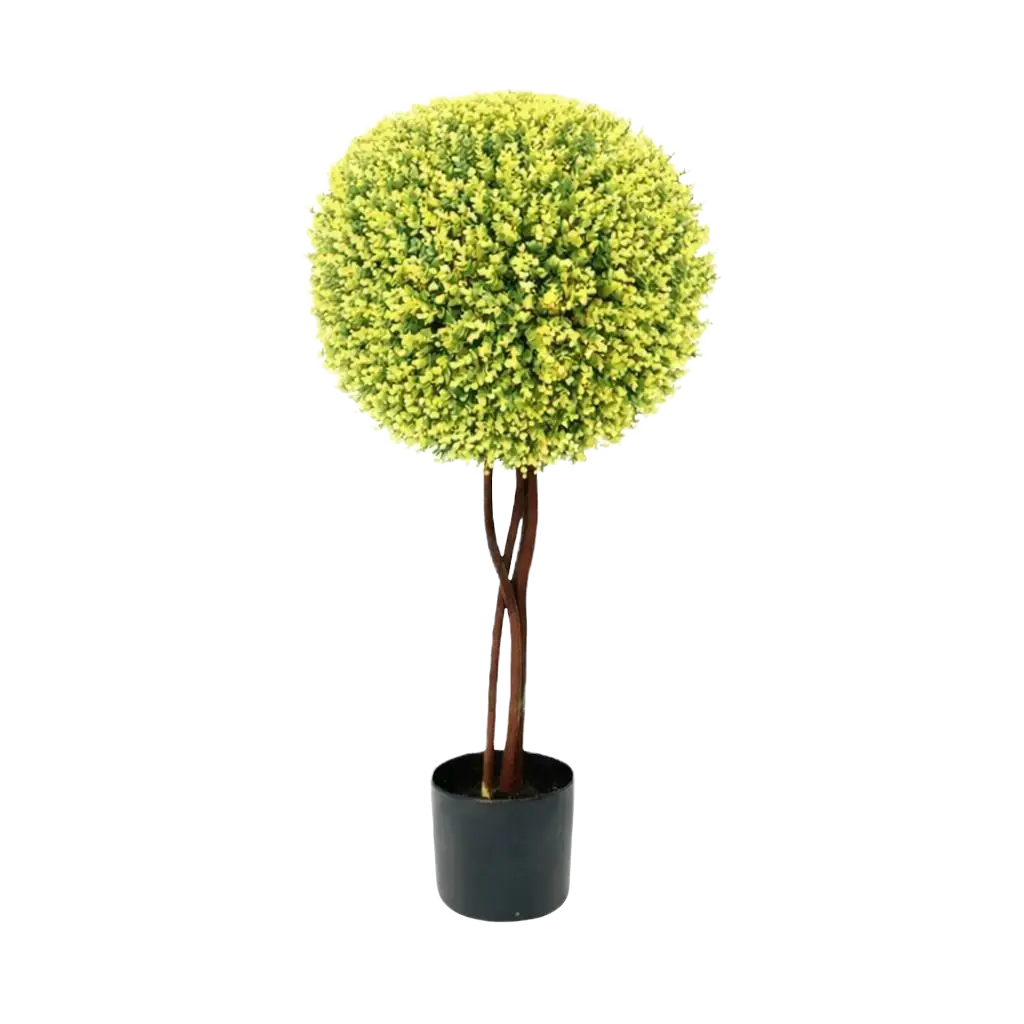 80cm Single Boxwood Topiary Ball Plant Aplant649-4