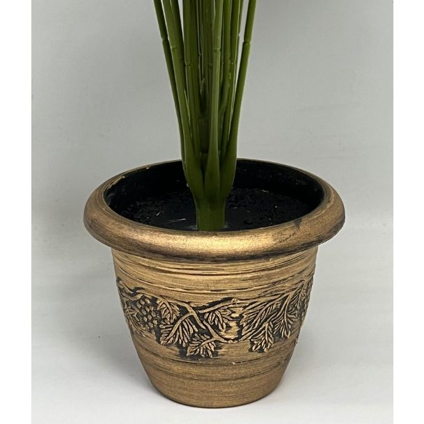 65cm Peperomia Plant (18 Leaves) Aplant424