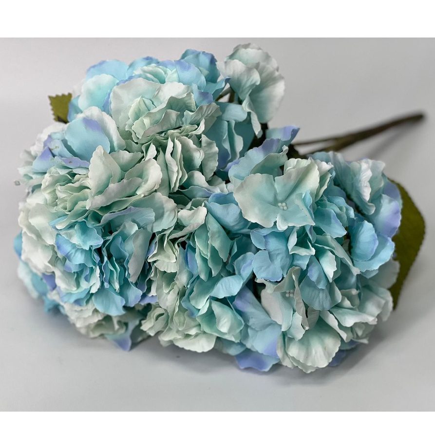 Hydrangea Bush x 5 flowers head per bush Afaux103