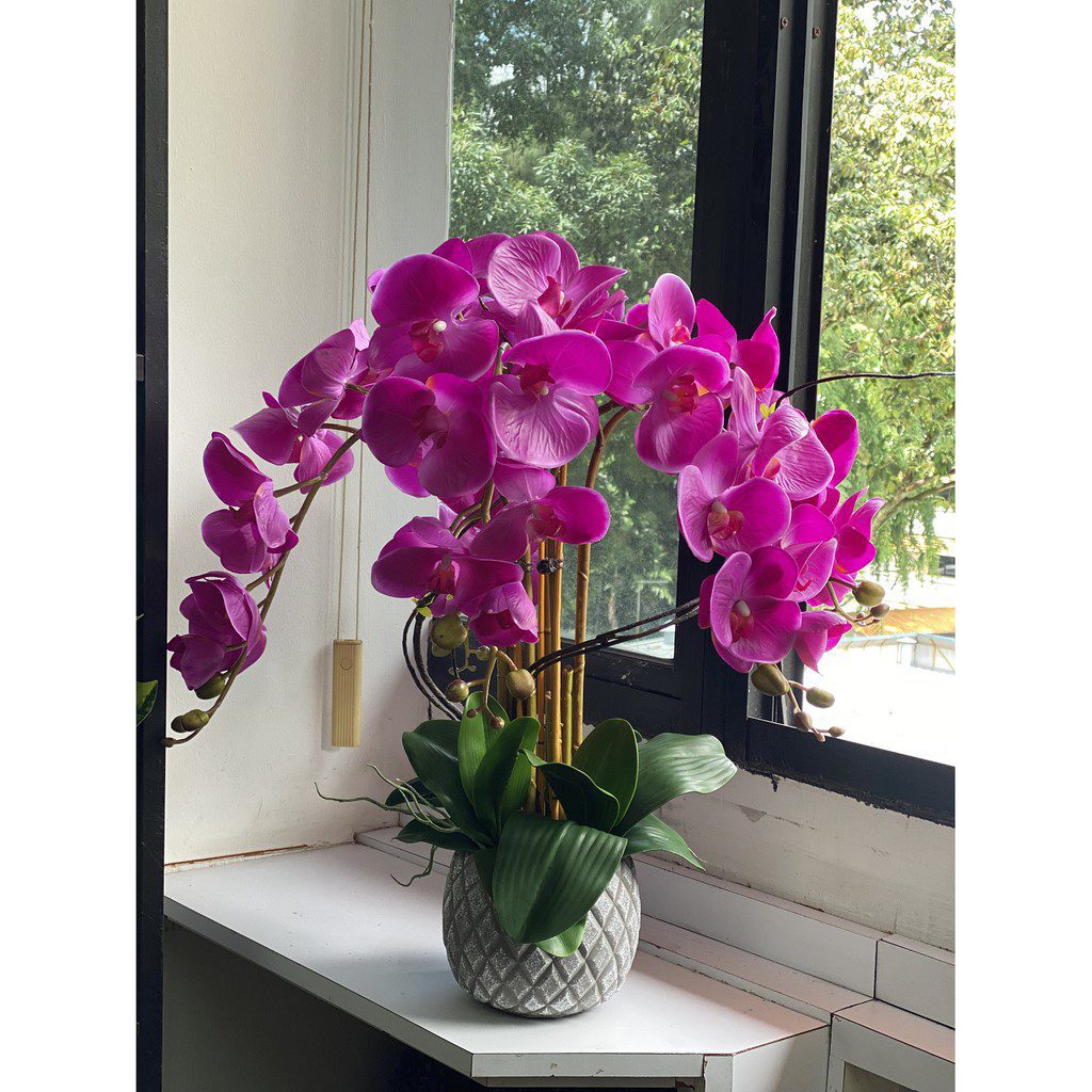 Plant Orchids Rubber x5 pieces arrangement artificial AAA438
