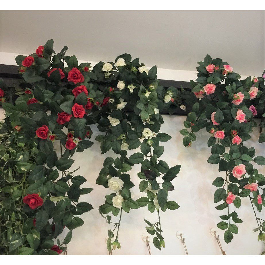 11bace4941f62ddb72c337ca93797b74