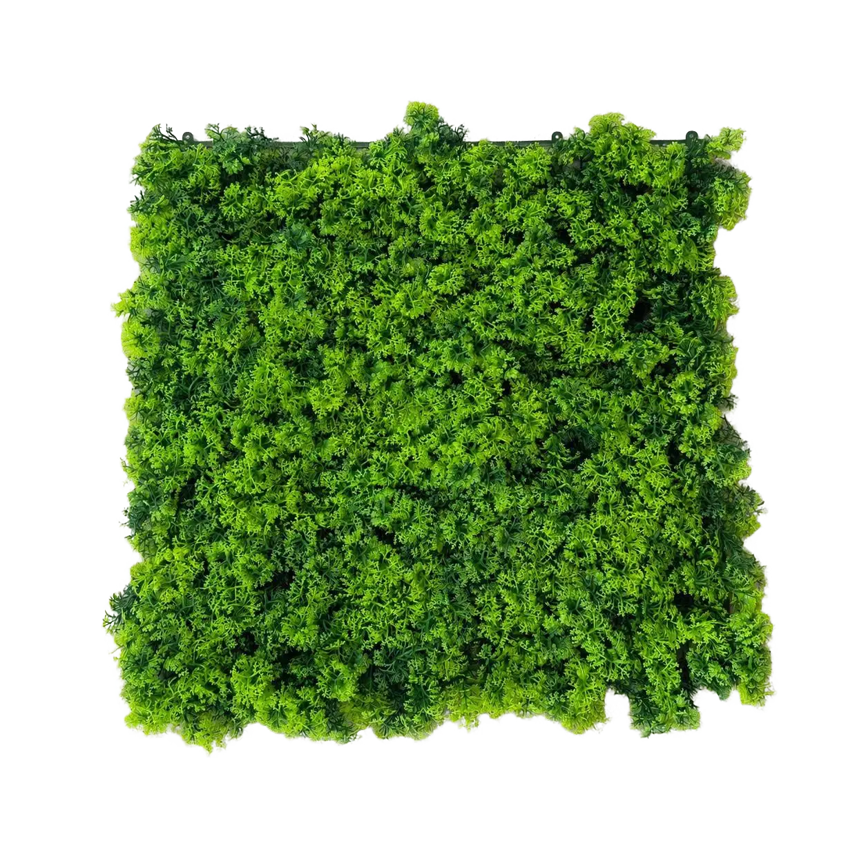 Grass Walls Artificial carpets, plants, home decor, events