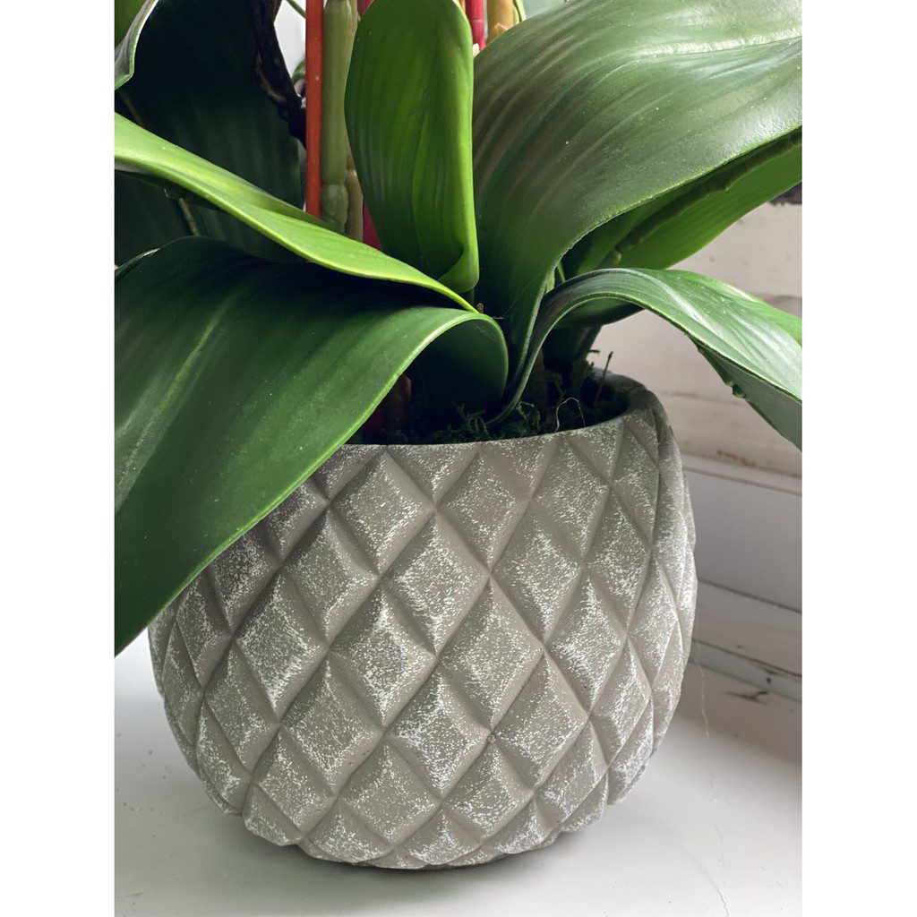 Plant Orchids Rubber x5 pieces arrangement artificial AAA438