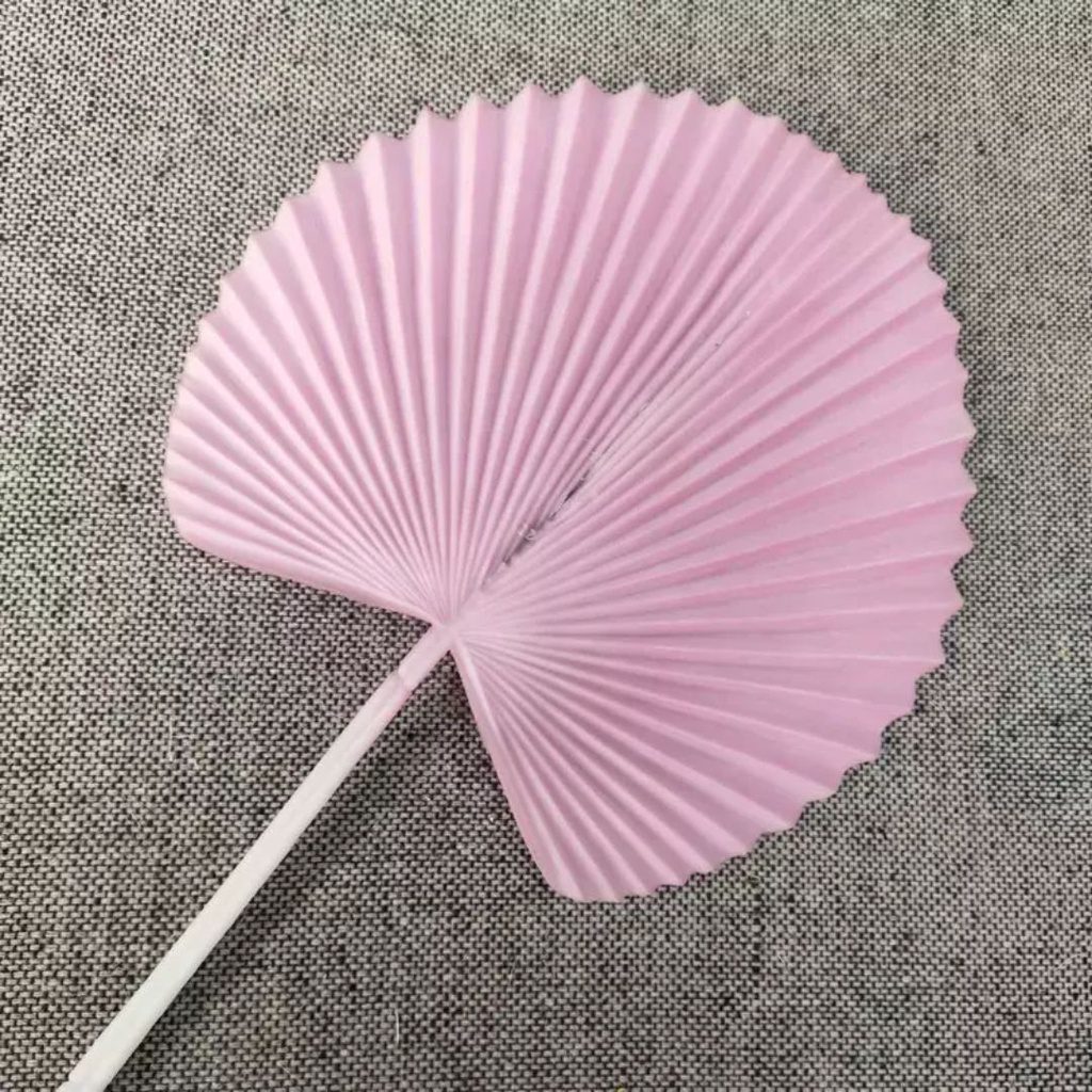 310d87120db65ce9e36b3e2fd88a02da