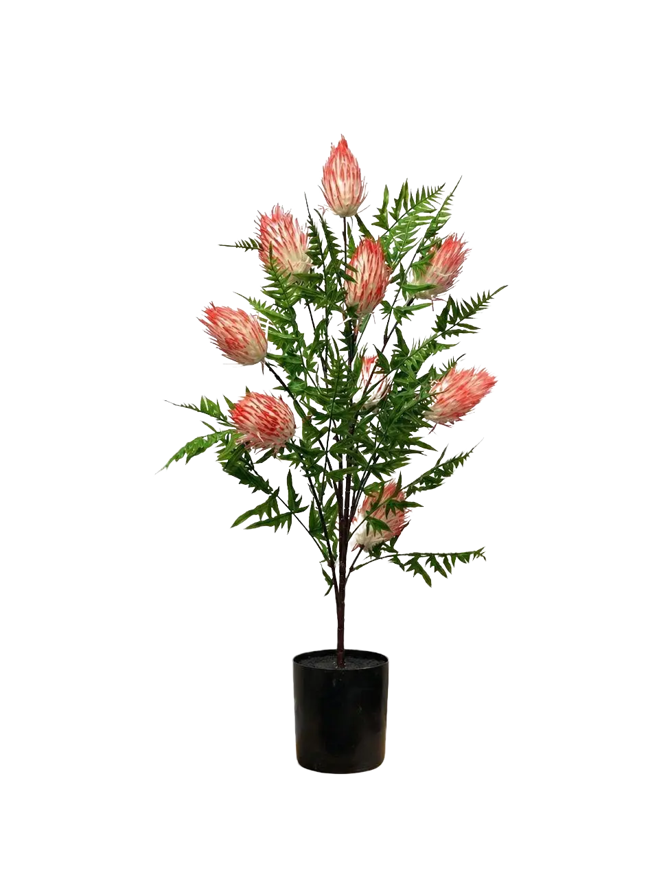 80cm Artificial Protea Flower Plant in Black Pot