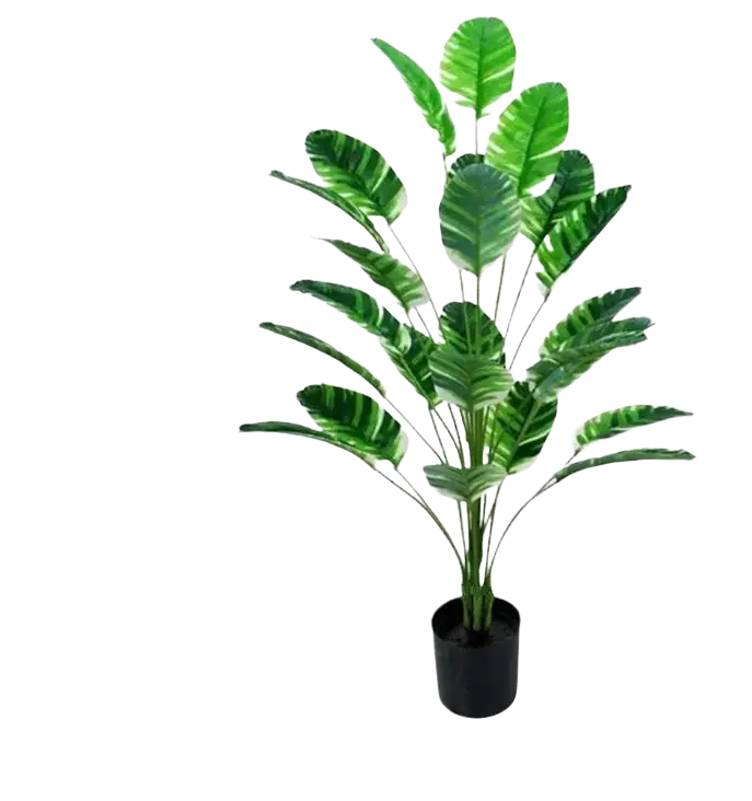 105cm Artificial Traveler’s Banana Plant (Albino Type) – 105cm, 24 Leaves Aplant1250-1