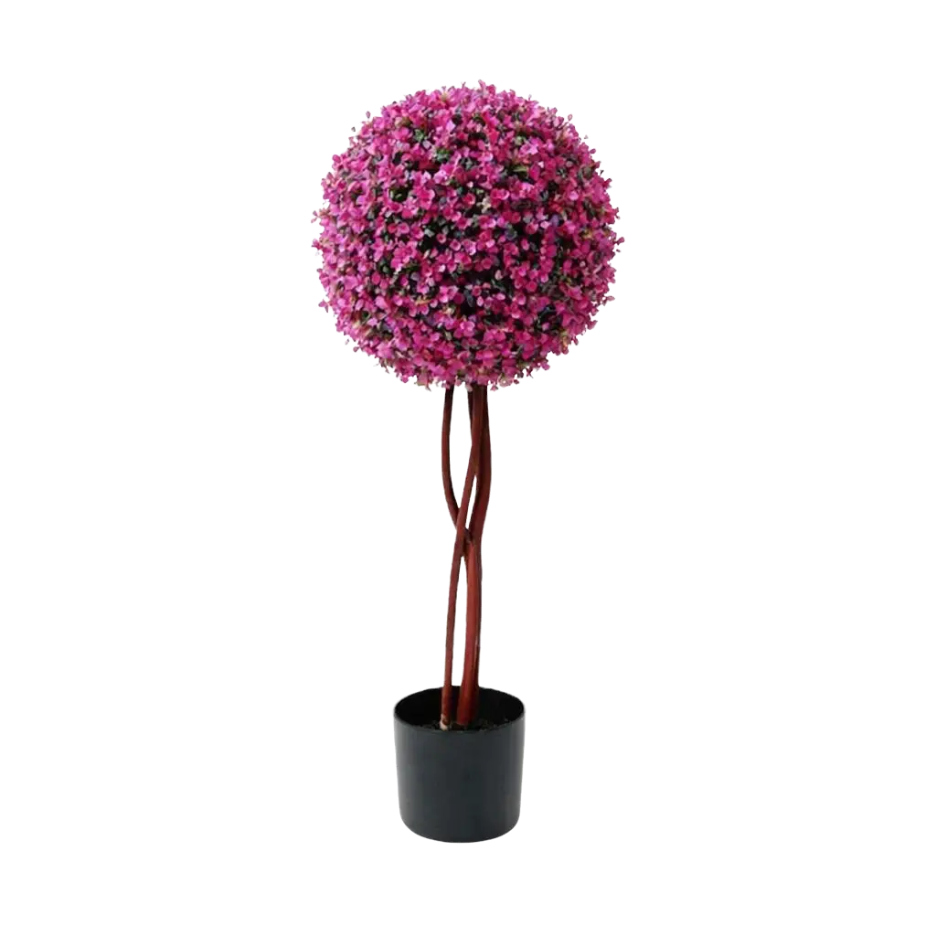 80cm Single Boxwood Topiary Ball Plant Aplant649-3
