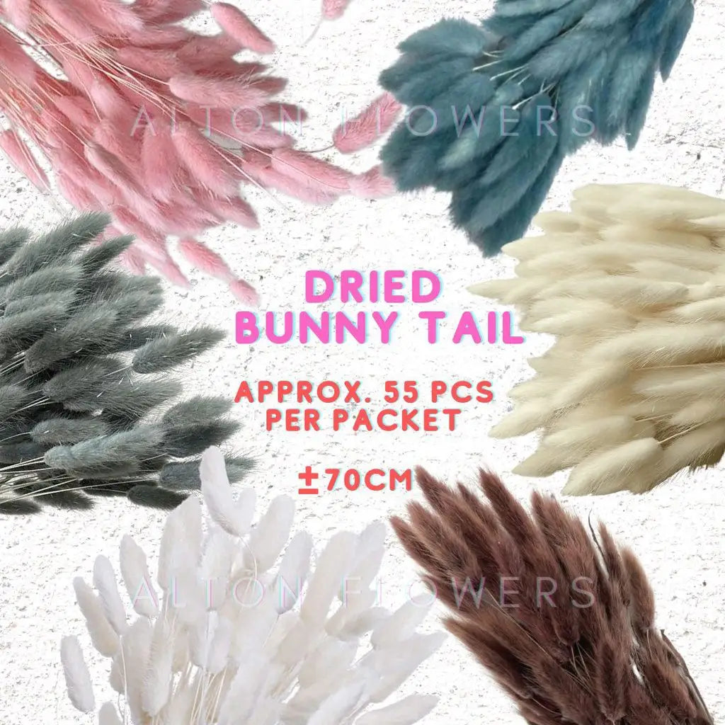 Flowers Bunny Tails (Dried flowers) home decor, events Afaux678