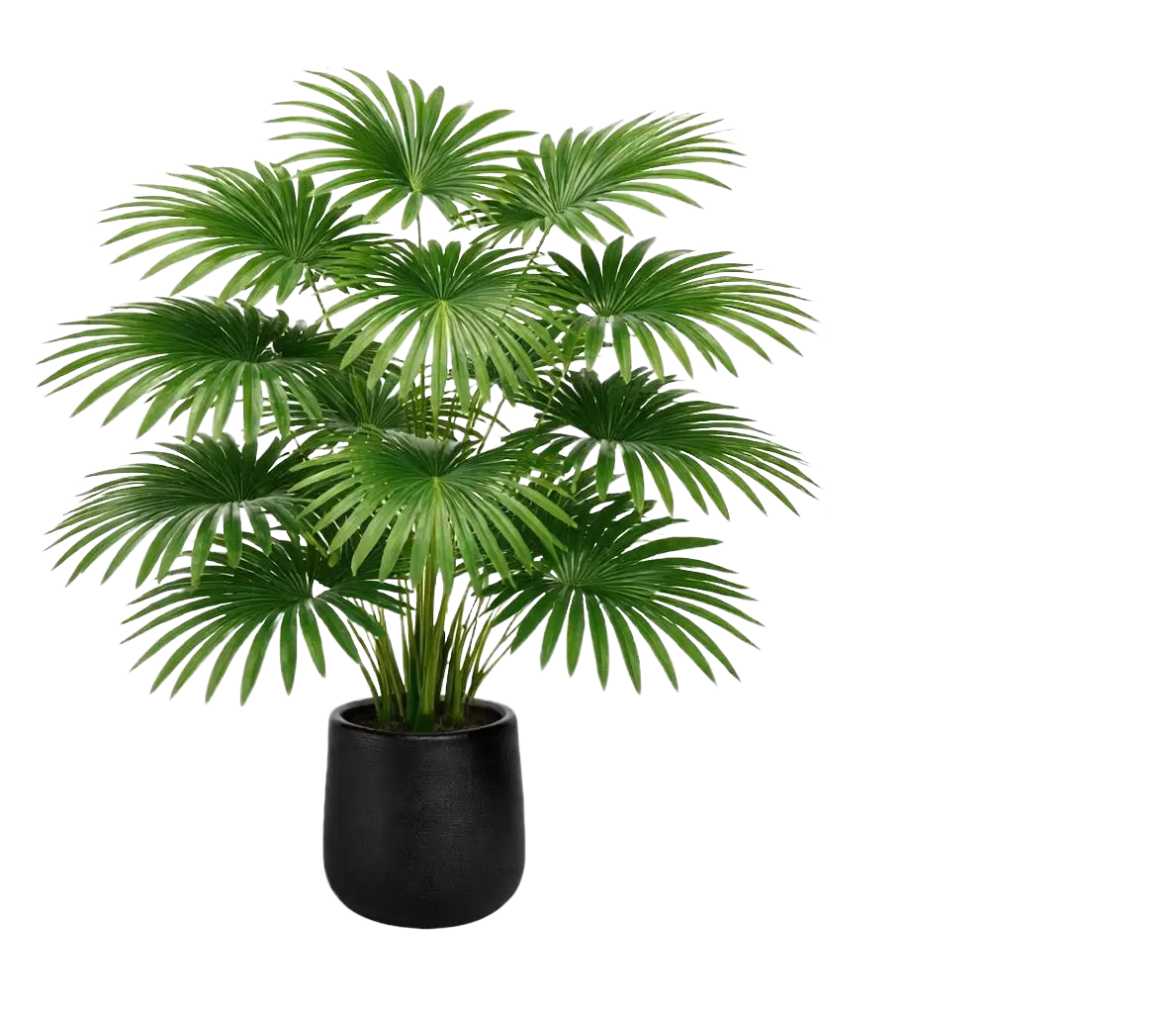 110cm Artificial Raphis Palm Plant in a Black Pot Aplant1229-3-Bk