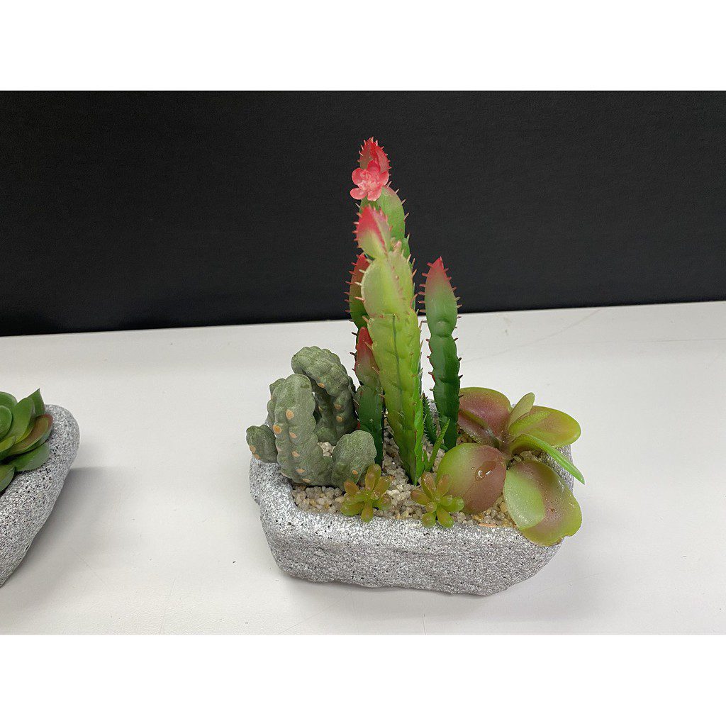 6e040e70a756aa0c6dc3ca1a37c19fce