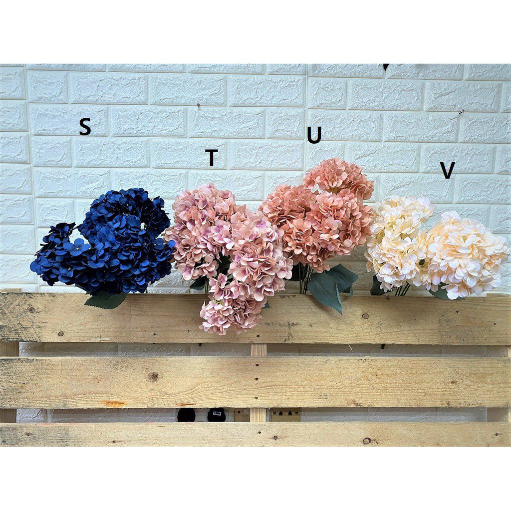 756616429e36ddc03f084dafdcf2ba4d 2