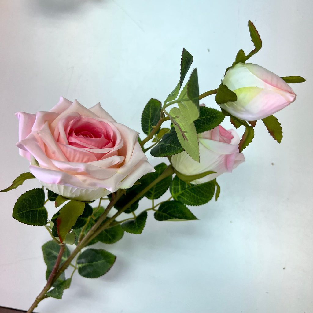 85b33f6001b10e5260699b8b03e2eb22