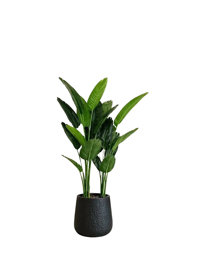Artificial Traveller plant in a planter pot by Alton Flowers, 125cm tall decorative indoor plant.