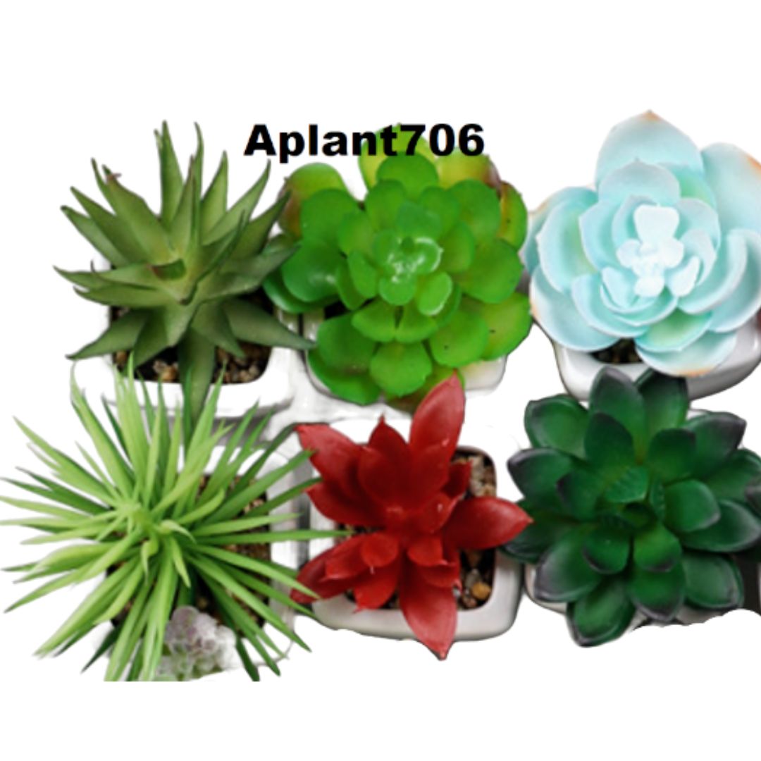 A Aplant706