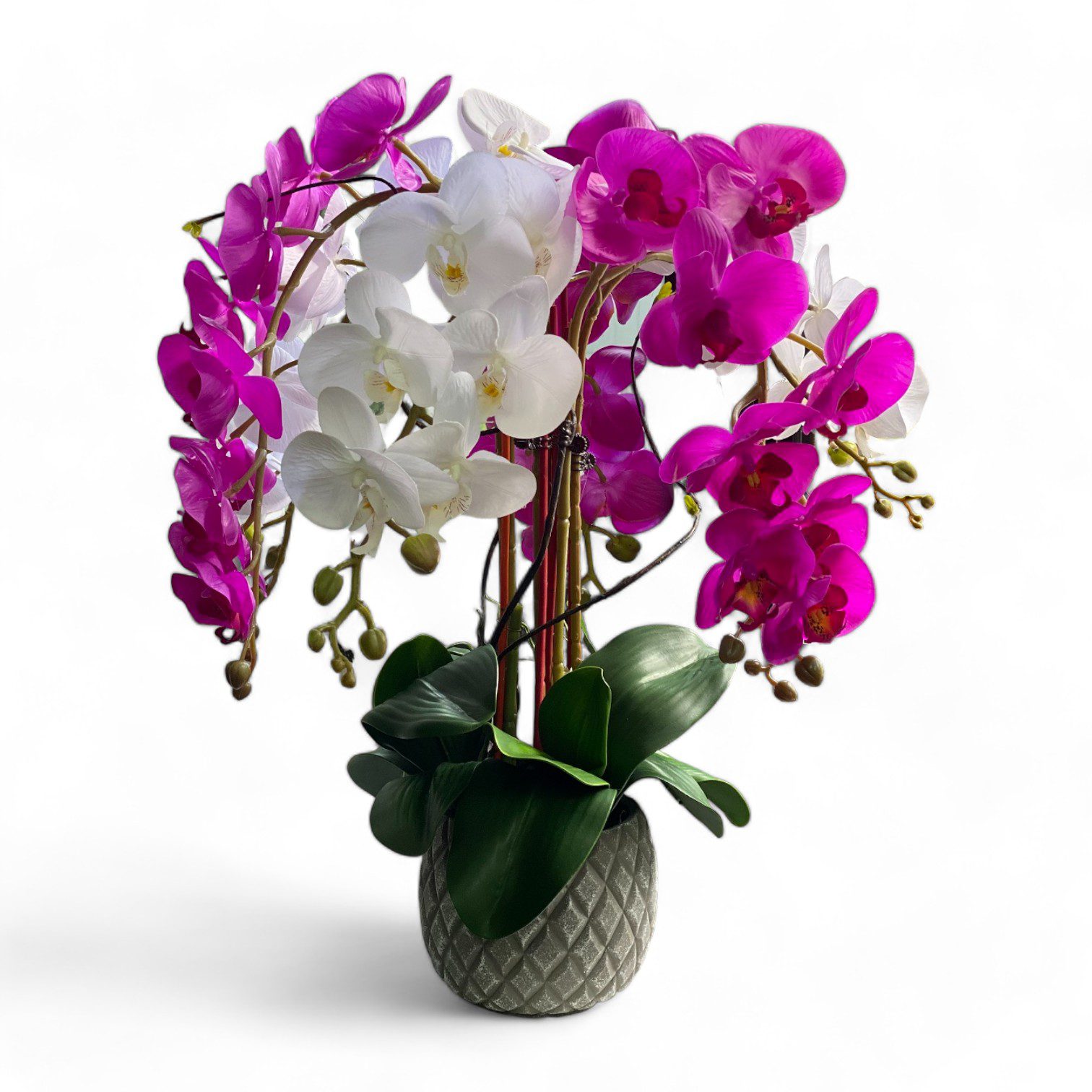 Plant Orchids Rubber x5 pieces arrangement artificial AAA438