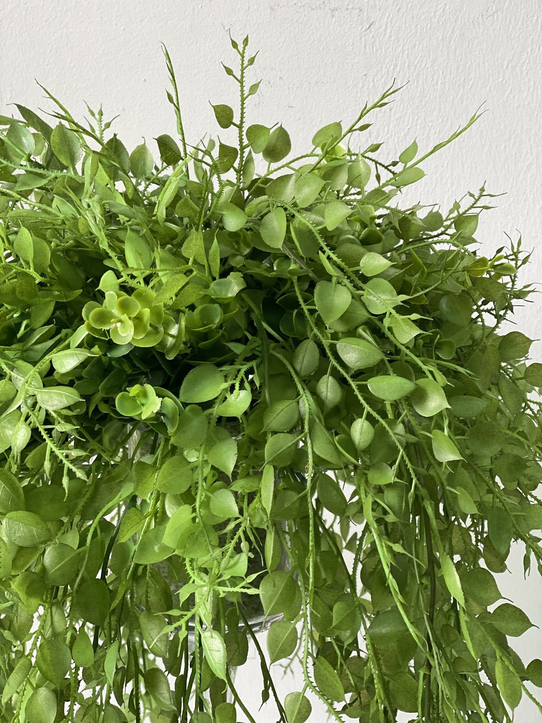 Plant Green Creepers set in a glass vase artificial AAA443