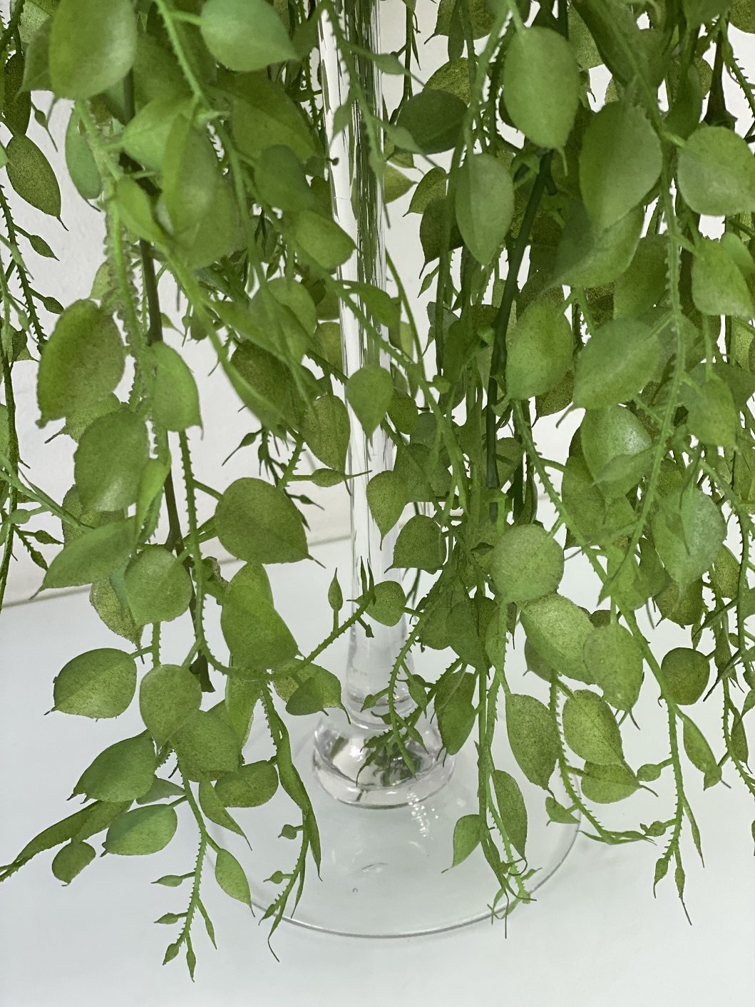 Plant Green Creepers set in a glass vase artificial AAA443