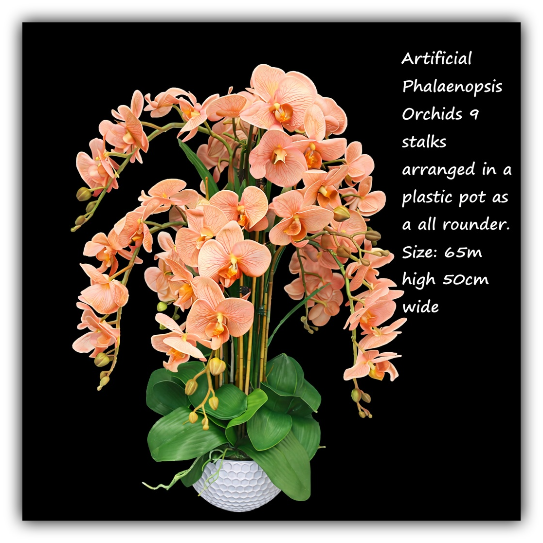 Artificial Phalaenopsis orchids arrangement in a plastic pot, featuring white blooms, from Alton Flowers AAA446 all-rounder set.