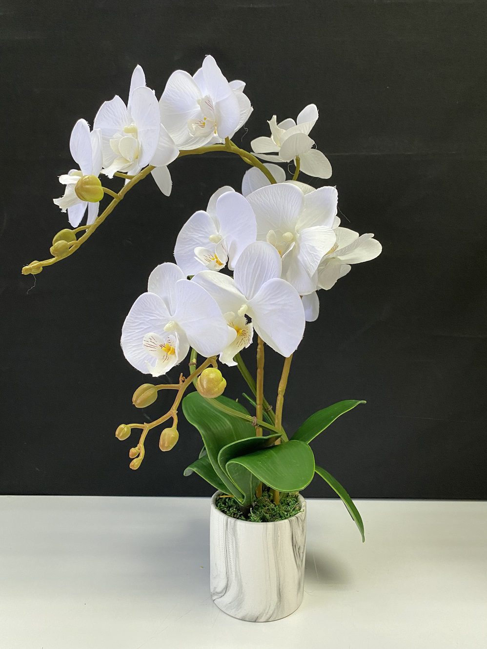 Alton Phalaenopsis Flower Orchids x 2 stalks Artificial Set in Ceramic Pot, plant, decor, plants, flowers AAA449