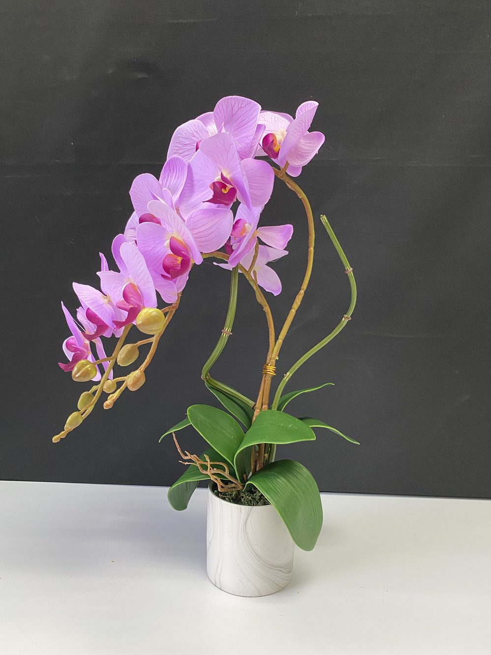 Alton Phalaenopsis Flower Orchids x 2 stalks Artificial Set in Ceramic Pot, plant, decor, plants, flowers AAA449