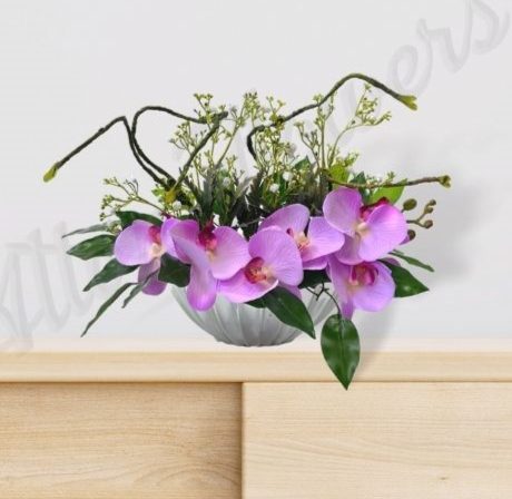 AAA480 Cover1cropped