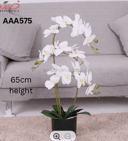 Alton Flowers orchids arrangement with three stalks in a plastic pot, ideal for home decor, garden, or events.