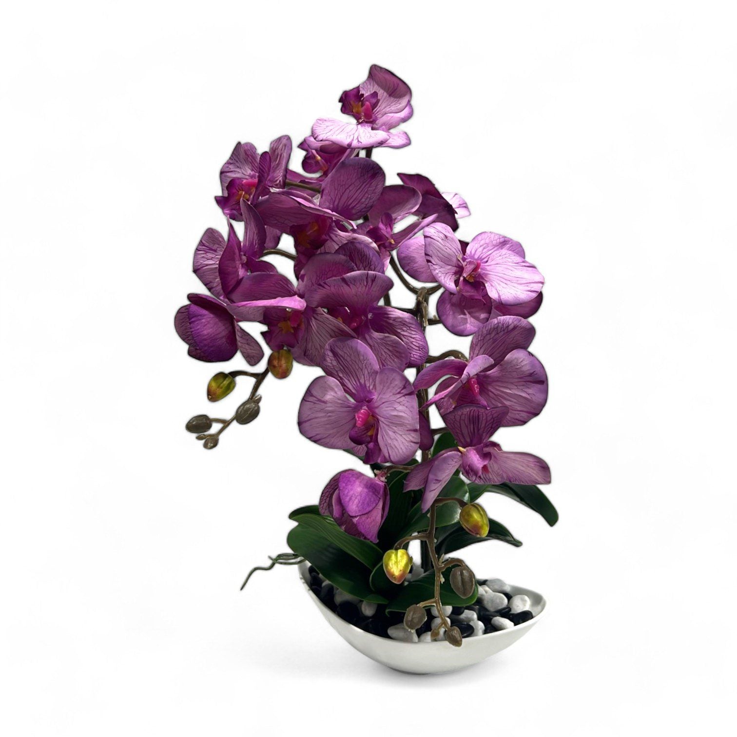 Phalaenopsis Orchid Flower Arrangement
