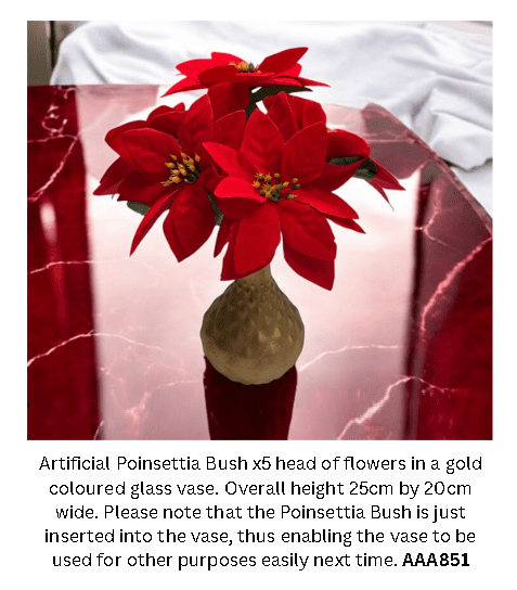 Poinsettia Flowers, Christmas, Home decoration, Office, Events AAA851