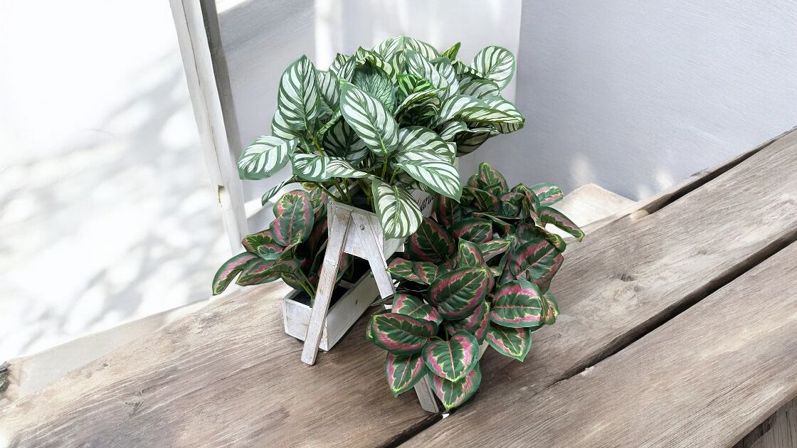 Plants Artificial arranged in a wooden triangle pot, home decor, garden, events AAA880
