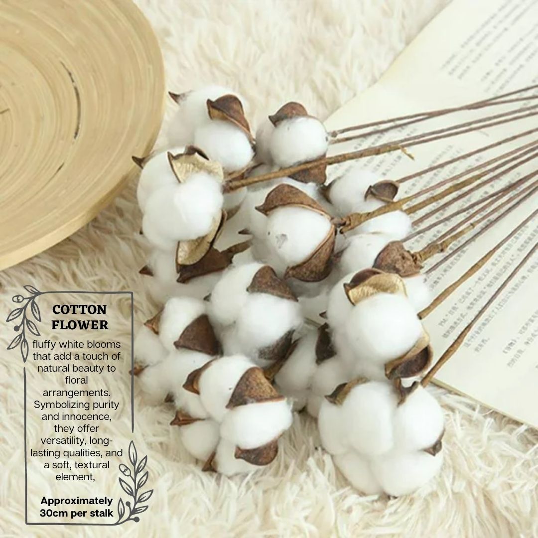 Dried Cotton Flower Stems (10 Stalks) Dried Flowers and Foliages home decor, arrangement, events AFaux716
