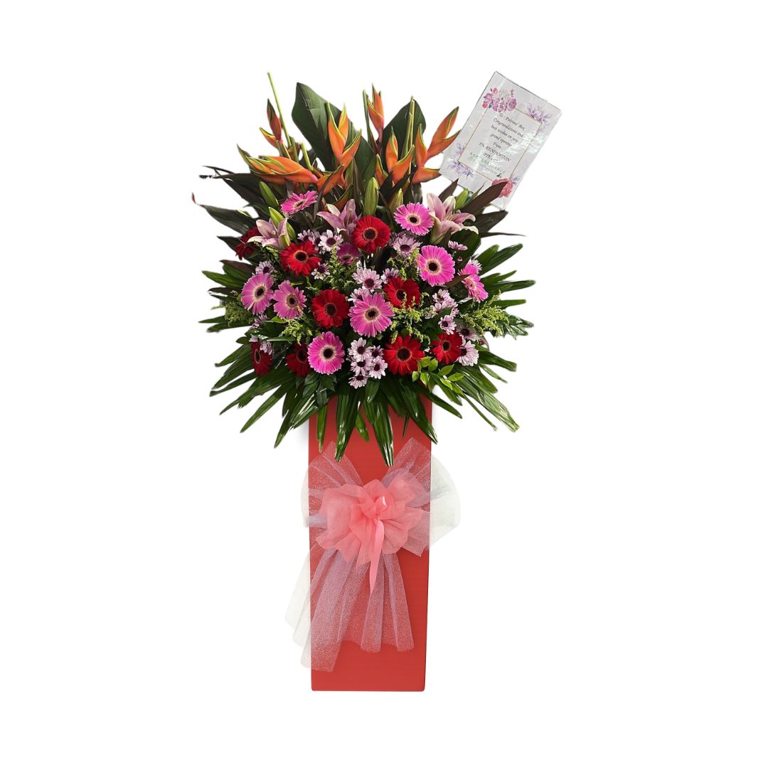 Colorful Grand opening flower arrangement in a red box with a pink bow on a white background