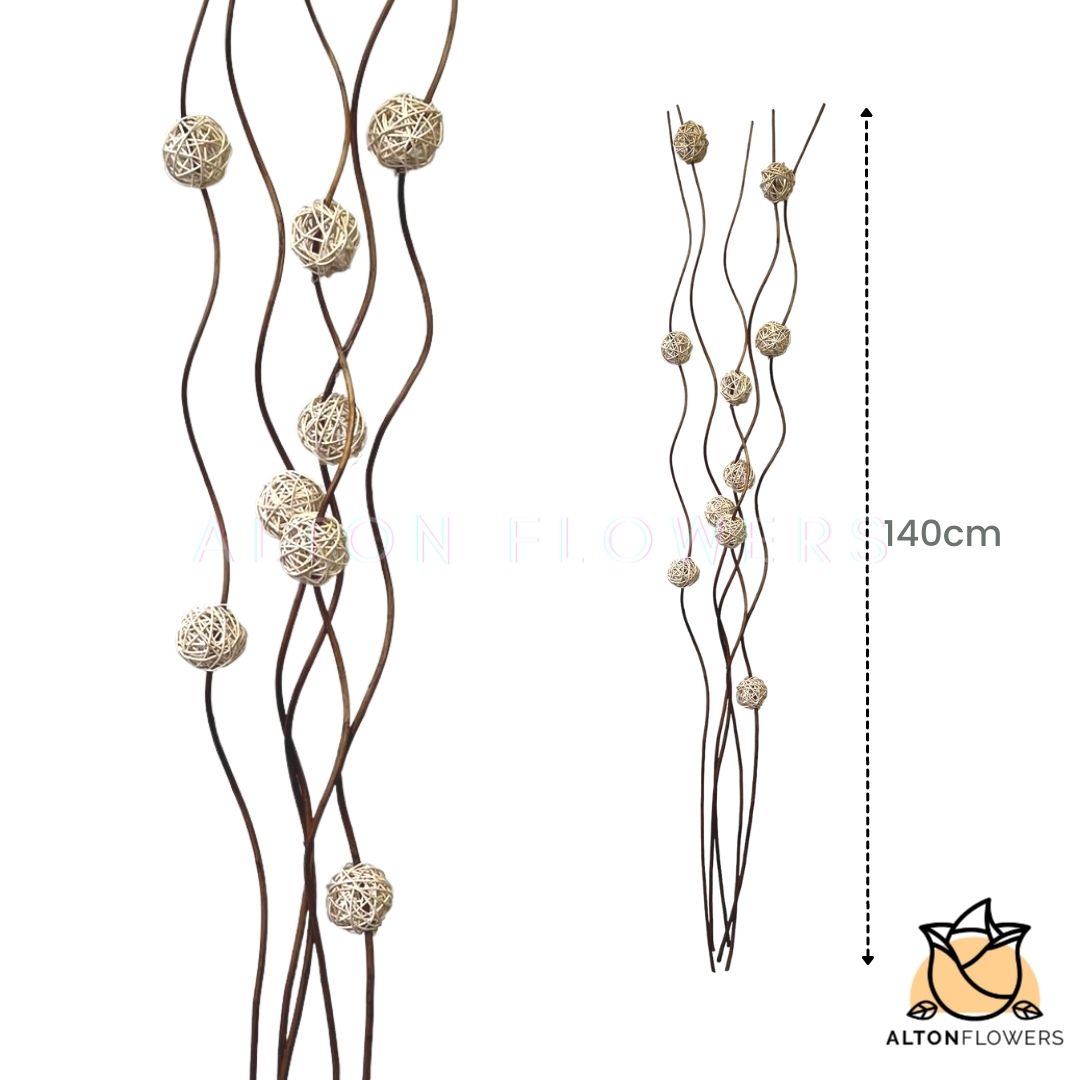 Aacc067 A Brown Sticks White Ball