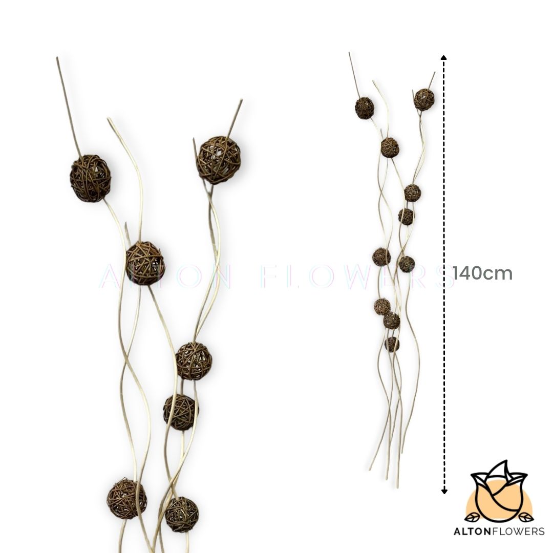 Aacc067 C White Stick Brown Balls