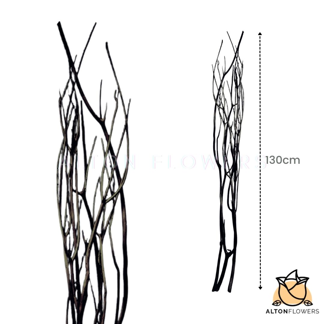 Decorative Mashushita Sticks Aacc114