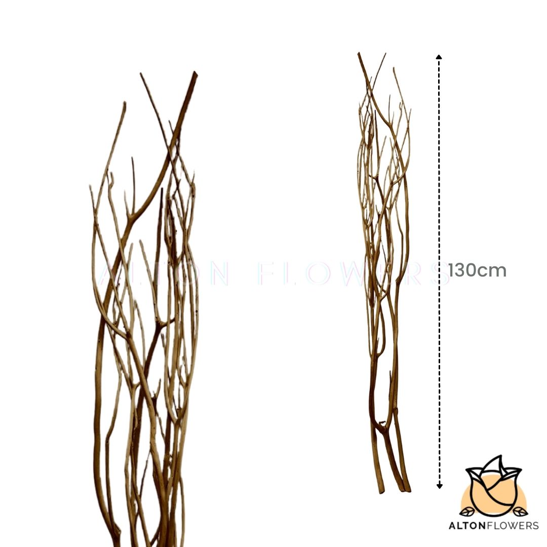 Decorative Mashushita Sticks Aacc114