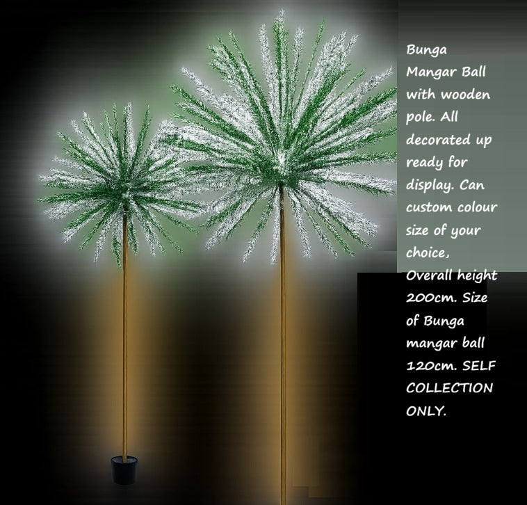 SELF COLECTION ONLY - Bunga Mangar with Wooden Pole and Potted Aacc125-2