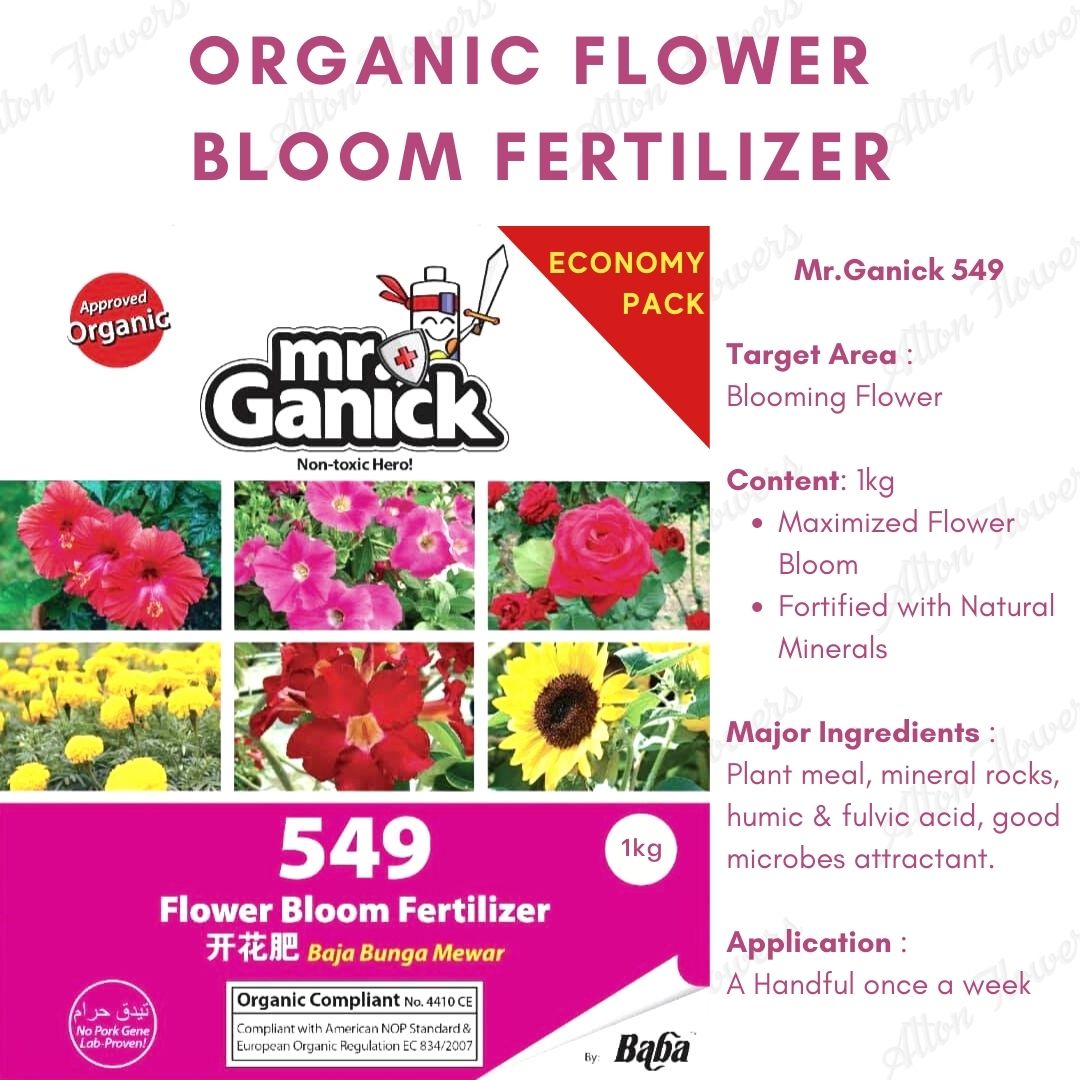 Aacc173 Flower Bloom 2