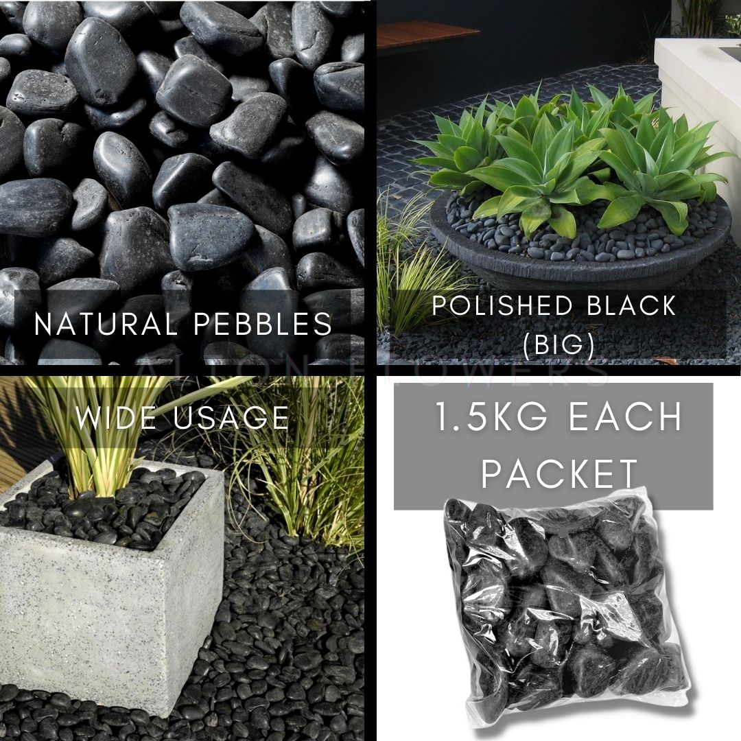 Black decorative pebbles for garden and home decor, suitable for plant arrangements and landscape design by Alton Flowers.