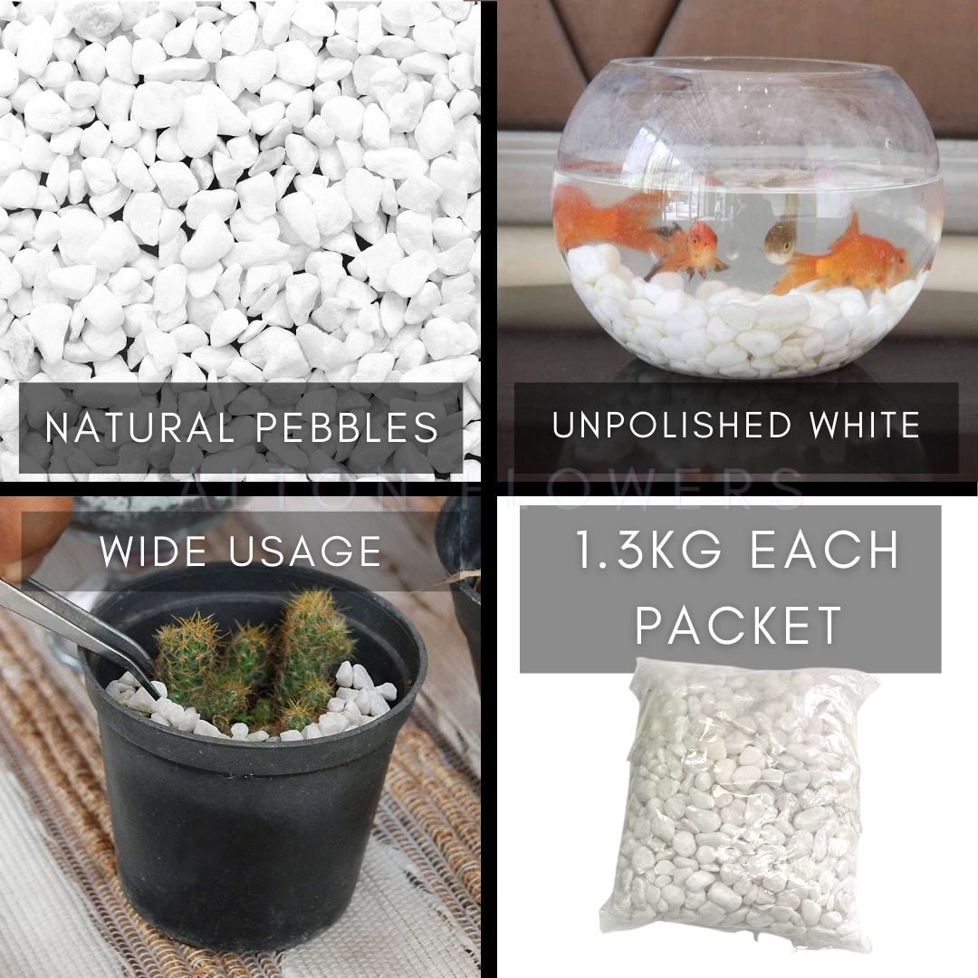 Small white decorative pebbles for plant arrangements, garden décor, and home accents by Alton Flowers.
