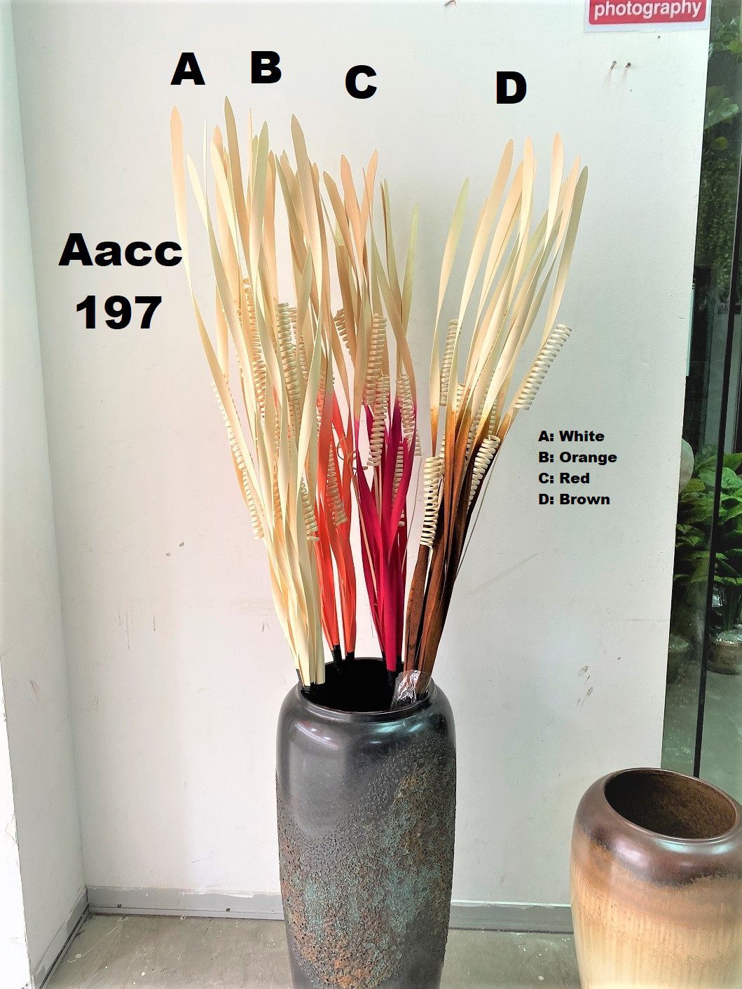 Aacc197 2 1