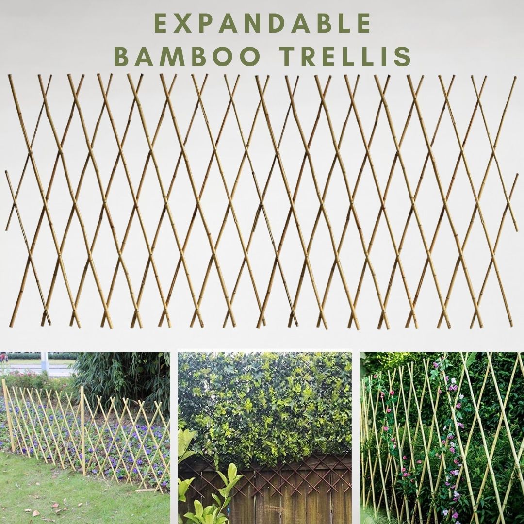 Pole bamboo Trellis expandable, gardening, garden, plants Aacc200