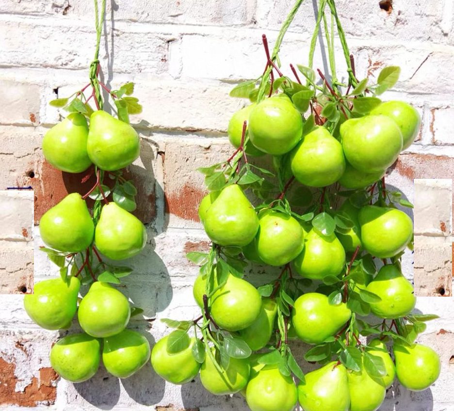 Flower Artificial Vegetables & Fruits decor, Aacc207