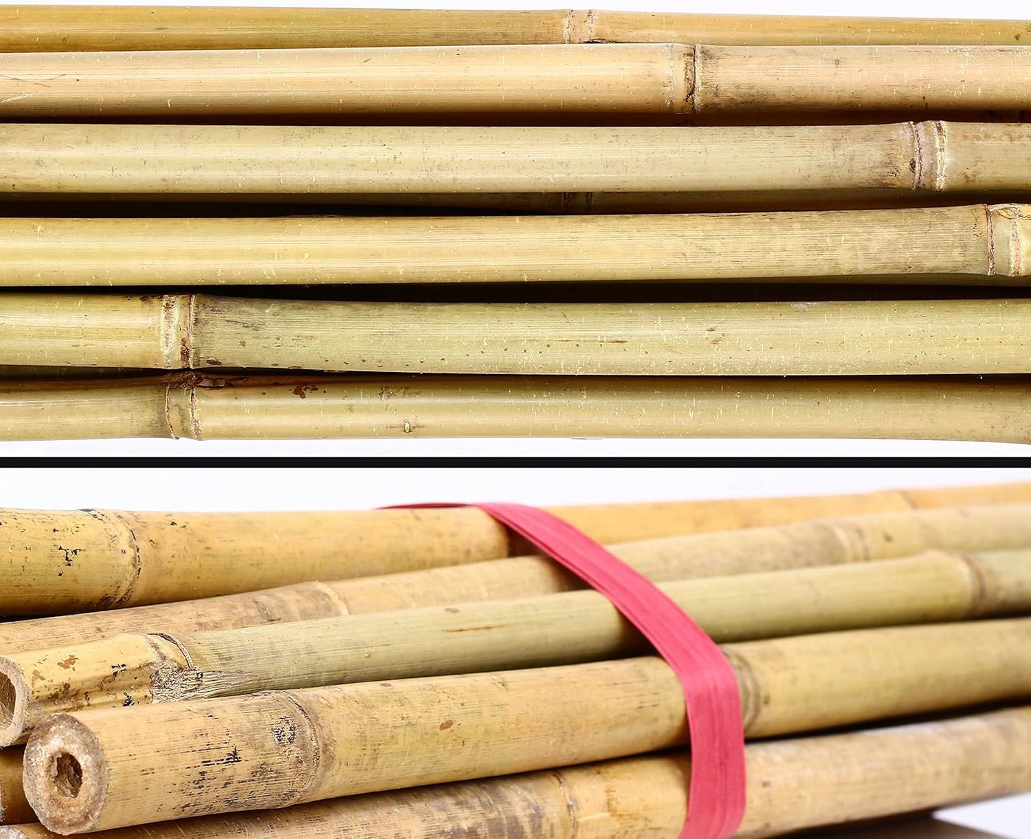Natural dried bamboo pole, 145cm, heavy-duty garden plant support stake from Alton Flowers for sturdy plant support.