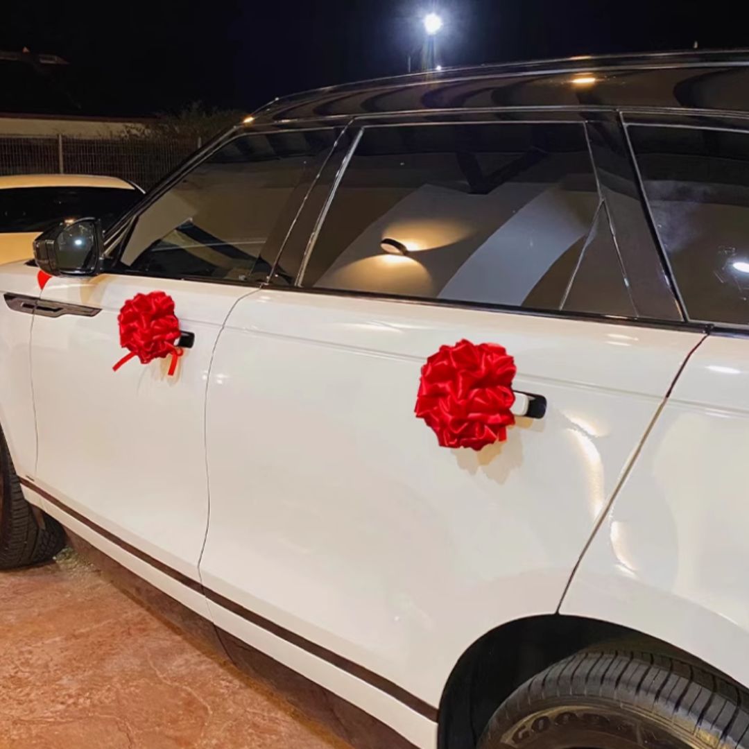 Ball Ribbon for Grand Opening Ceremony Aacc246-CL