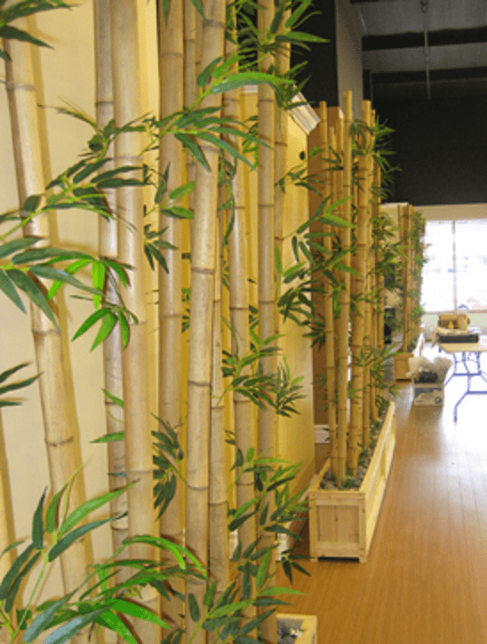 Bamboo Pole for gardening, trellis, plants, climbers, garden, home decor, events Aacc247