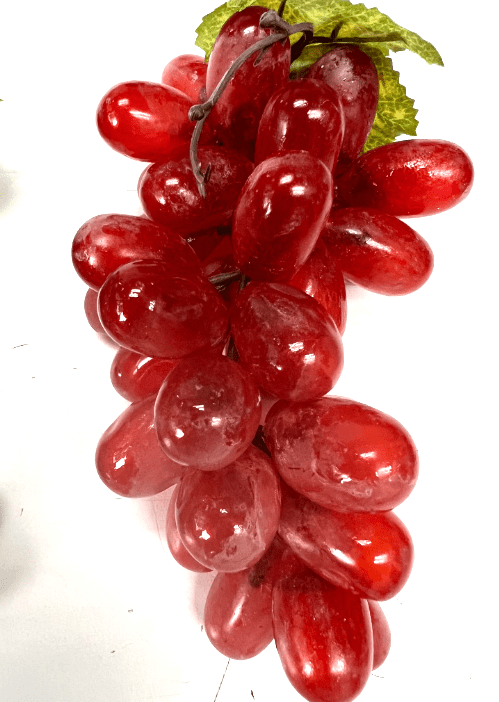 Flower Artificial Vegetables & Fruits decor, Aacc207