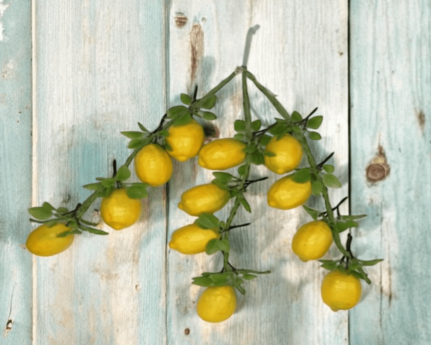 Fruit Artificial, home decor, garden, events Aacc335